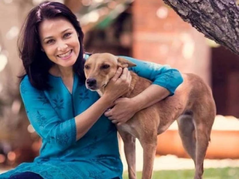 'അവൾ വികടൻ' എന്ന യൂട്യൂബ് ചാനലിലെ അഭിമുഖത്തിലാണ് അമല അക്കിനേനിയുടെ വെളിപ്പെടുത്തൽ. തന്റെ അച്ഛനമ്മമാർ വിവാഹമോചിതരായി എന്ന് അമല വ്യക്തമാക്കി. അച്ഛൻ മറ്റൊരു വിവാഹം ചെയ്തു. ഉത്തർപ്രദേശിൽ പഠിച്ചുവളർന്ന വ്യക്തിയാണ് അമല അക്കിനേനിയുടെ നേവി ഉദ്യോഗസ്ഥനായ പിതാവ്. വിവാഹമോചനം നടന്നുവെങ്കിലും അമ്മ മകൾ അമലയുടെ കൂടെക്കൂടി. അമ്മയെ നോക്കണം എന്ന ബോധ്യം അമലയുടെ മനസിലുണ്ട്. അമ്മയ്ക്ക് വേണ്ടി അമല ഒരു വീട് സമ്മാനിച്ചിരുന്നു