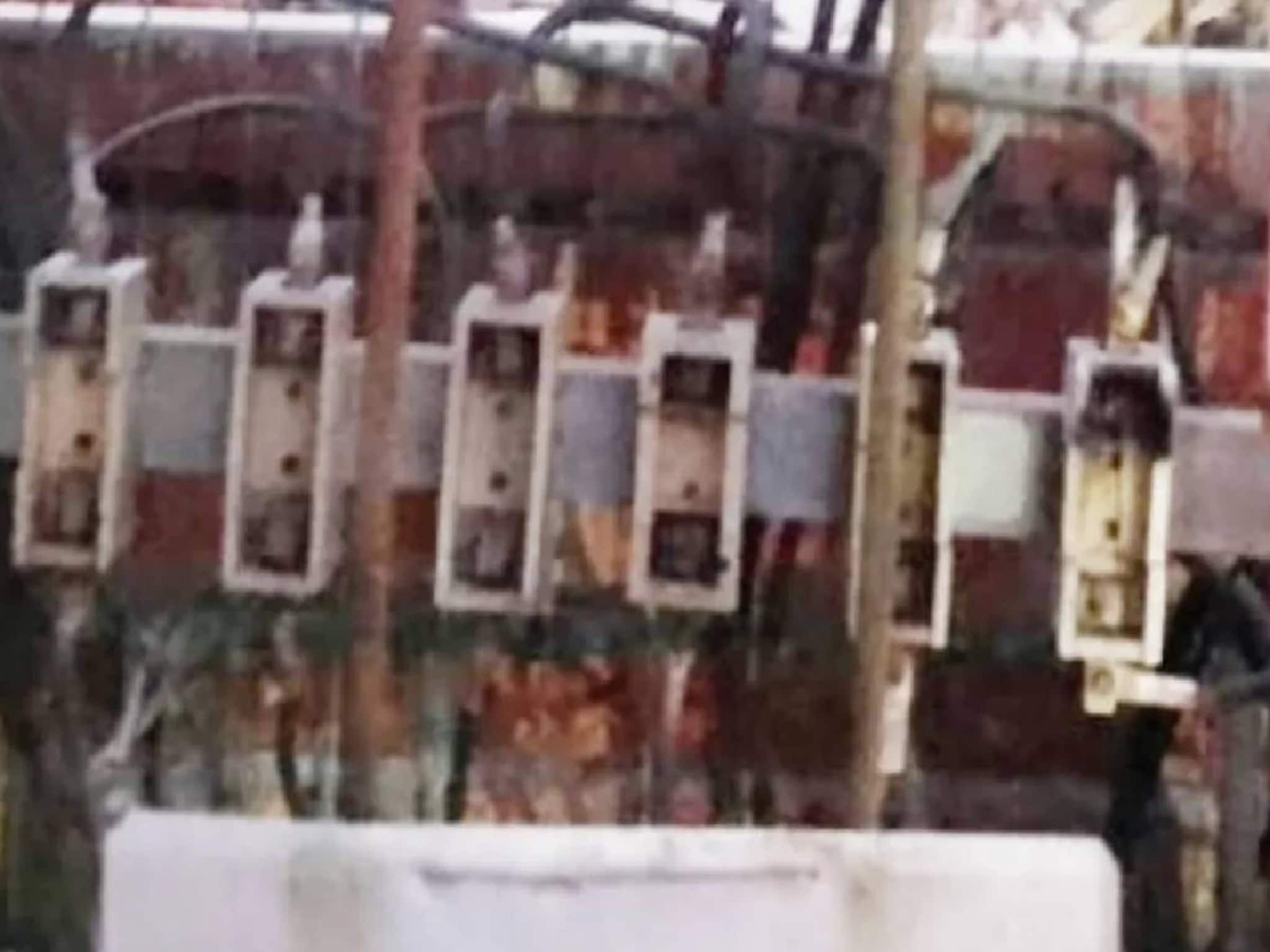 കാസർഗോഡ് ബില്ലടയ്ക്കാത്ത വീട്ടിലെ ഫ്യൂസ് ഊരിയതിന് യുവാവ് 50 ട്രാൻസ്ഫോമറിന്റെ ഫ്യൂസ് തകർത്തു