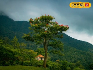 ബോണക്കാട് ബോണക്കാട്