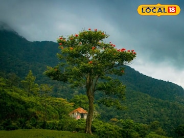 ബോണക്കാട് ബോണക്കാട്