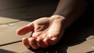 പ്രതാകാത്മക ചിത്രം പ്രതാകാത്മക ചിത്രം