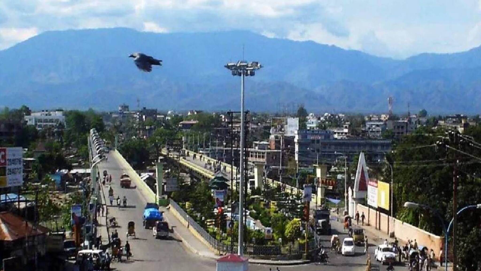 ഈ കോഴിയുടെ കഴുത്തിൽ ഇന്ത്യൻ സൈന്യം ശക്തി കൂട്ടുന്നത് എന്തുകൊണ്ട് ?