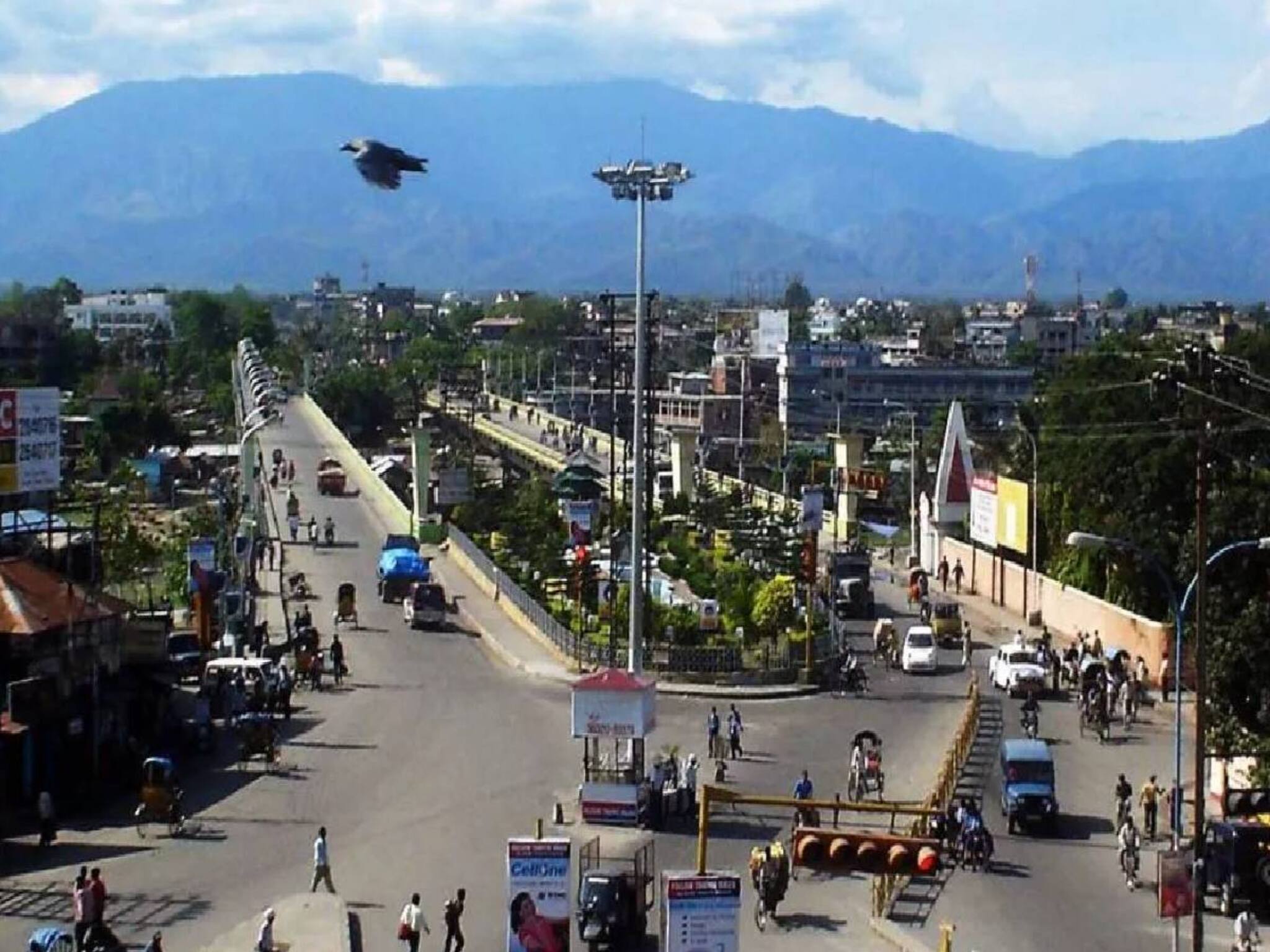 ഈ കോഴിയുടെ കഴുത്തിൽ ഇന്ത്യൻ സൈന്യം ശക്തി കൂട്ടുന്നത് എന്തുകൊണ്ട് ?