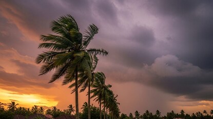 (Image: AI generated) (Image: AI generated)