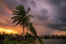 Weather update | അഞ്ച് ജില്ലകൾക്ക് യെല്ലോ അലർട്ട്; കേരളത്തിൽ കനത്തമഴയ്ക്ക് സാധ്യത