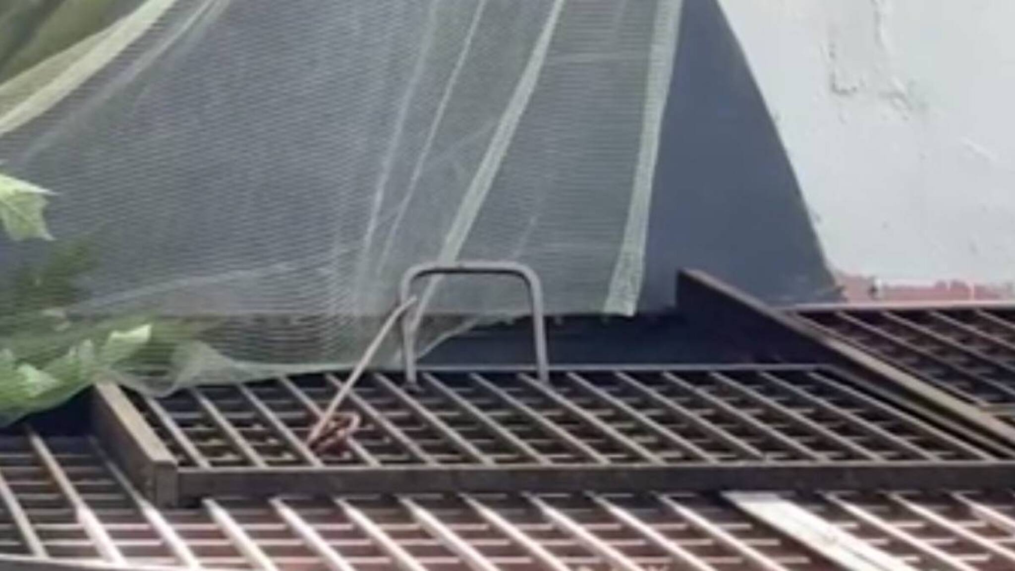 രണ്ടുമാസം പ്രായമുള്ള കുഞ്ഞ് വീണതല്ല, കിണറ്റിലെറിഞ്ഞ് കൊന്നതെന്ന് പോലീസ്; അമ്മ അറസ്റ്റിൽ