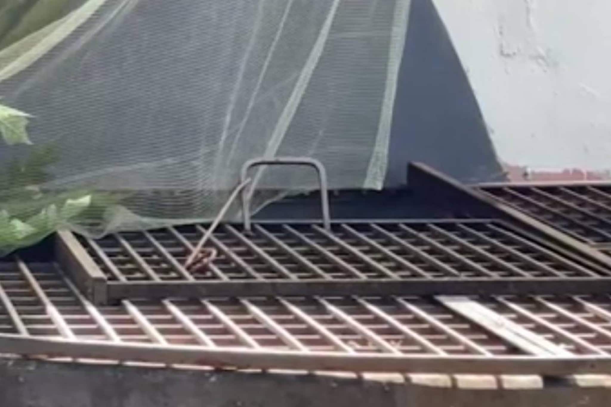 രണ്ടുമാസം പ്രായമുള്ള കുഞ്ഞ് വീണതല്ല, കിണറ്റിലെറിഞ്ഞ് കൊന്നതെന്ന് പോലീസ്; അമ്മ അറസ്റ്റിൽ രണ്ടുമാസം പ്രായമുള്ള കുഞ്ഞ് വീണതല്ല, കിണറ്റിലെറിഞ്ഞ് കൊന്നതെന്ന് പോലീസ്; അമ്മ അറസ്റ്റിൽ