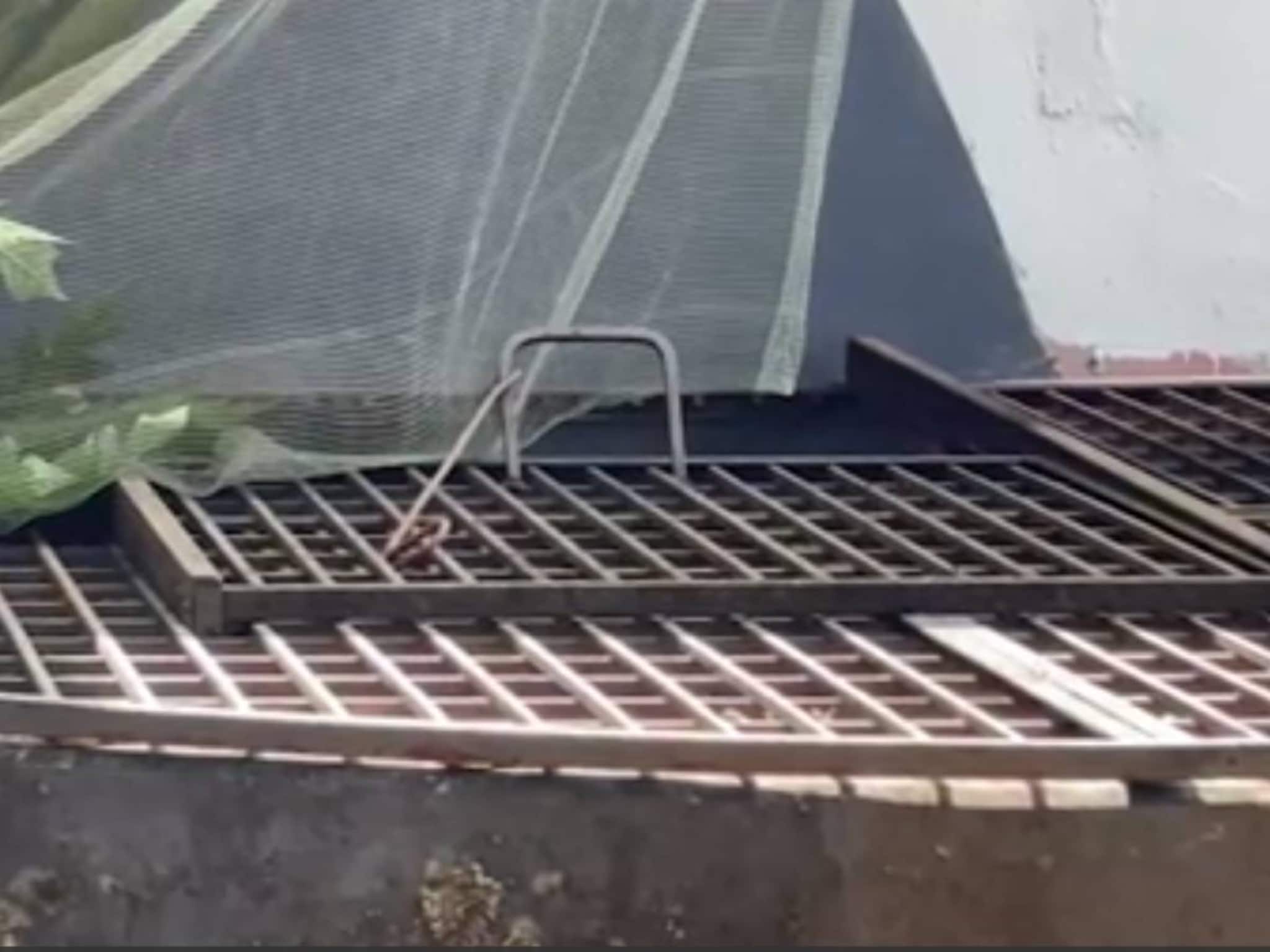 രണ്ടുമാസം പ്രായമുള്ള കുഞ്ഞ് വീണതല്ല, കിണറ്റിലെറിഞ്ഞ് കൊന്നതെന്ന് പോലീസ്; അമ്മ അറസ്റ്റിൽ