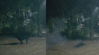 സിസിടിവി ദൃശ്യങ്ങളിൽ നിന്ന് 