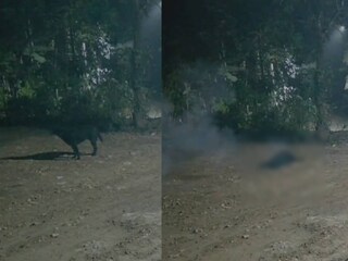 സിസിടിവി ദൃശ്യങ്ങളിൽ നിന്ന് 