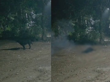 സിസിടിവി ദൃശ്യങ്ങളിൽ നിന്ന്  സിസിടിവി ദൃശ്യങ്ങളിൽ നിന്ന്