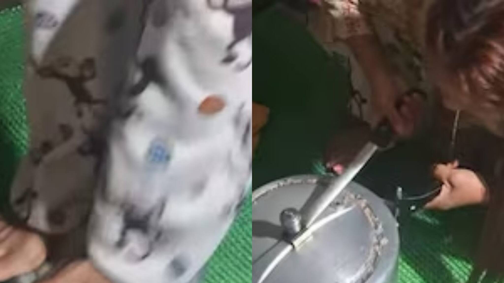 അടപ്പ് തിരിച്ചിട്ടും തുറന്നില്ല; പ്രഷർ കുക്കറിന് മുകളിൽ കയറി ചവിട്ടി തുറക്കുന്ന യുവതിയുടെ വീഡിയോ വൈറൽ