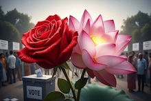 പൂവിനെ പൂ എടുക്കുമോ? തിരുവനന്തപുരം കോർപറേഷനിൽ താമരയെ തളയ്ക്കാൻ 10 വാർഡിൽ റോസാപ്പൂ മുന്നണി