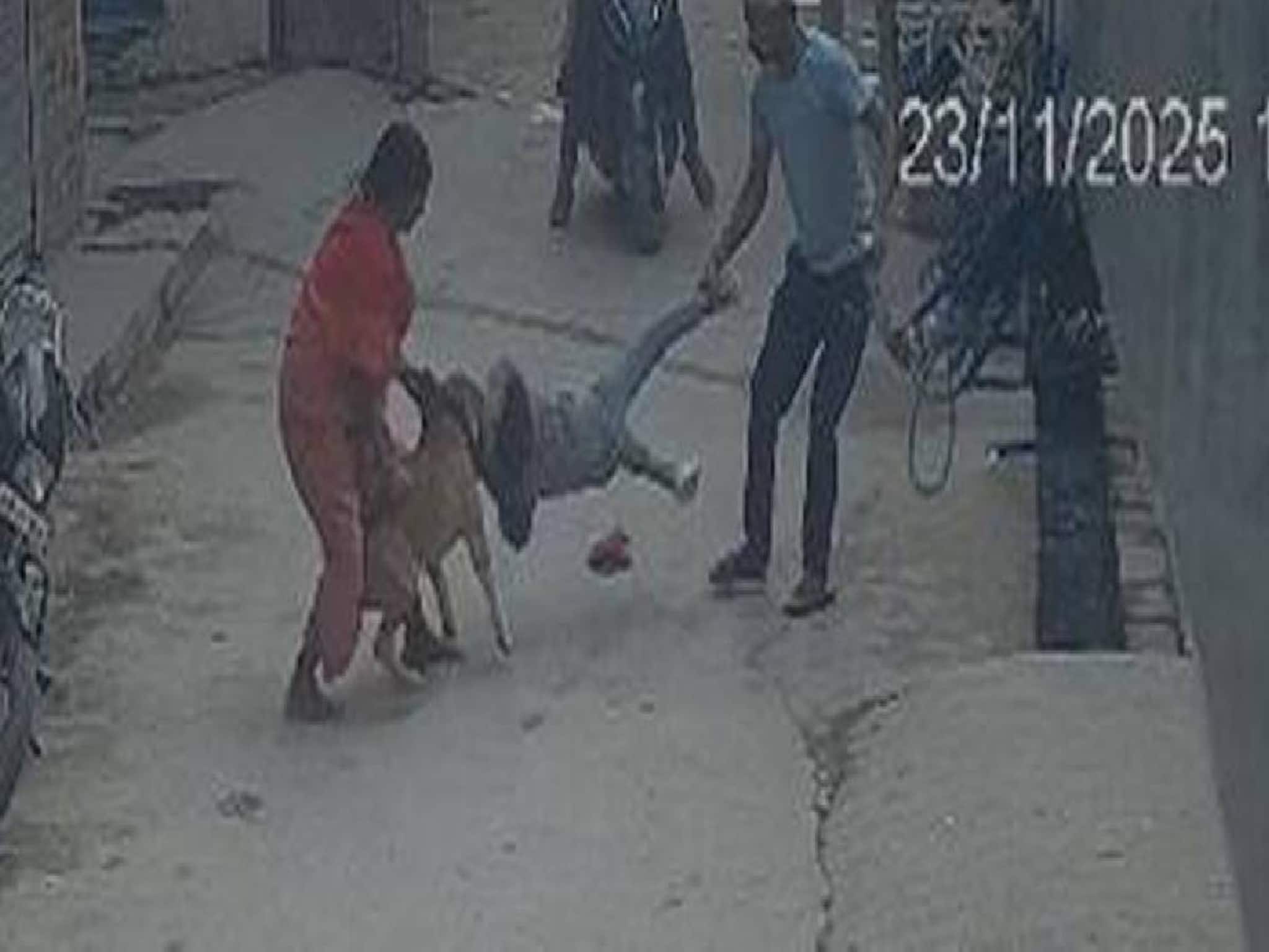 ഡൽഹിയിൽ വീടിന് പുറത്ത് കളിച്ചുകൊണ്ടിരുന്ന ആറു വയസുകാരന്റെ ചെവി പിറ്റ്ബുൾ നായ കടിച്ചെടുത്തു