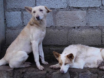 (Photo: PTI) (Photo: PTI)