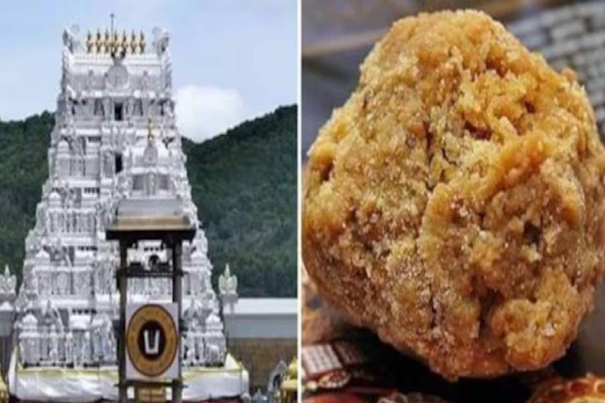 തിരുപ്പതി ലഡ്ഡുവില്‍ മായം; വ്യാജ നെയ്യുണ്ടാക്കാന്‍ രാസവസ്തുക്കള്‍ നൽകിയ വ്യാപാരി അറസ്റ്റില്‍