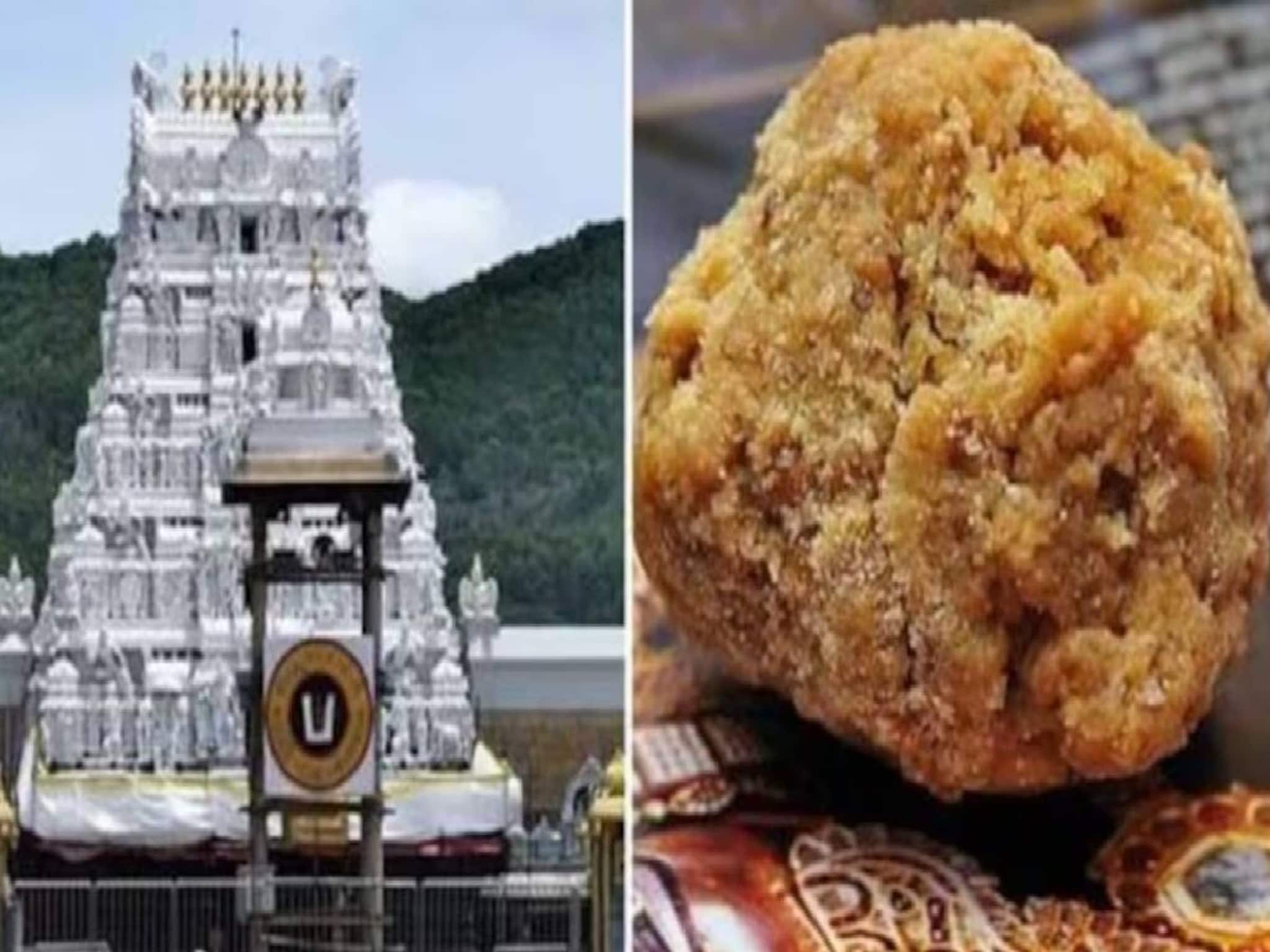 തിരുപ്പതി ലഡ്ഡുവില്‍ മായം; വ്യാജ നെയ്യുണ്ടാക്കാന്‍ രാസവസ്തുക്കള്‍ നൽകിയ വ്യാപാരി അറസ്റ്റില്‍