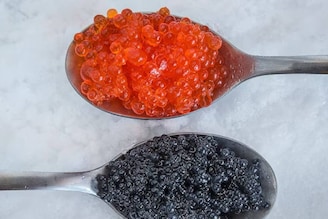 Most Expensive Foods: മീൻമുട്ട മുതൽ കാട്ടുതേൻ വരെ; ലോകത്തിലെ ഏറ്റവും വിലയേറിയ 5 ഭക്ഷണങ്ങൾ