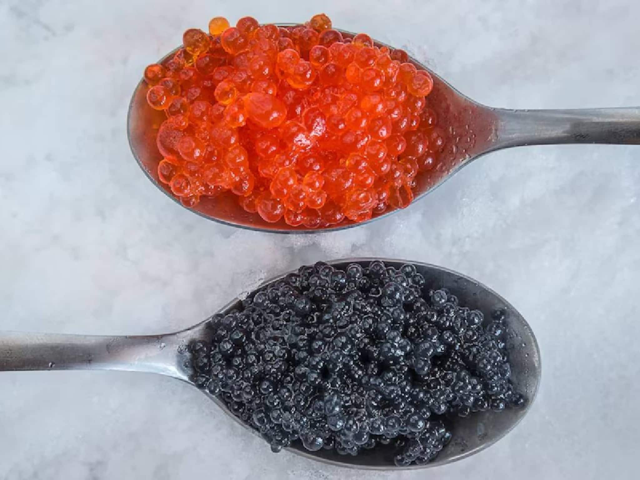 Most Expensive Foods: മീൻമുട്ട മുതൽ കാട്ടുതേൻ വരെ; ലോകത്തിലെ ഏറ്റവും വിലയേറിയ 5 ഭക്ഷണങ്ങൾ