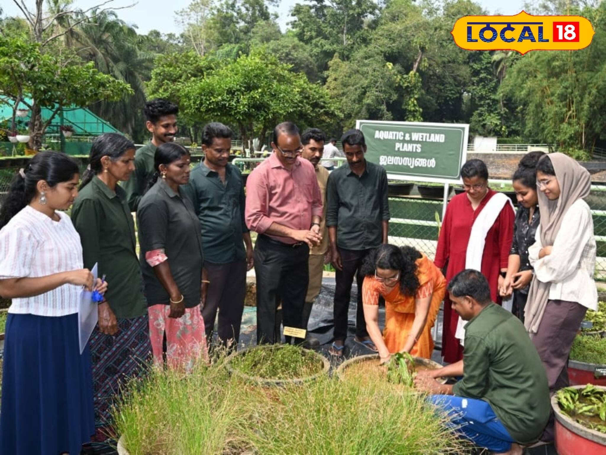 കാട്ടുതെച്ചികളെ കാലിക്കറ്റ് സർവകലാശാല ഇനി പ്രത്യേകമായി സംരക്ഷിക്കും