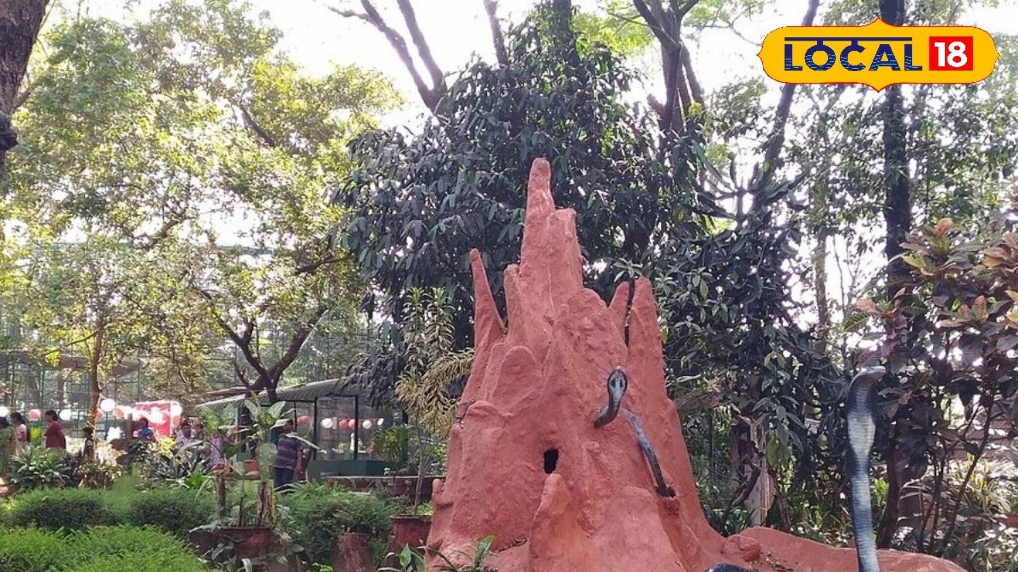 പാമ്പുകളുടെ പറുദീസ... മലബാറിലെ പ്രധാന ടൂറിസം കേന്ദ്രമായി പറശ്ശിനിക്കടവ് സ്‌നേക്ക് പാർക്ക്