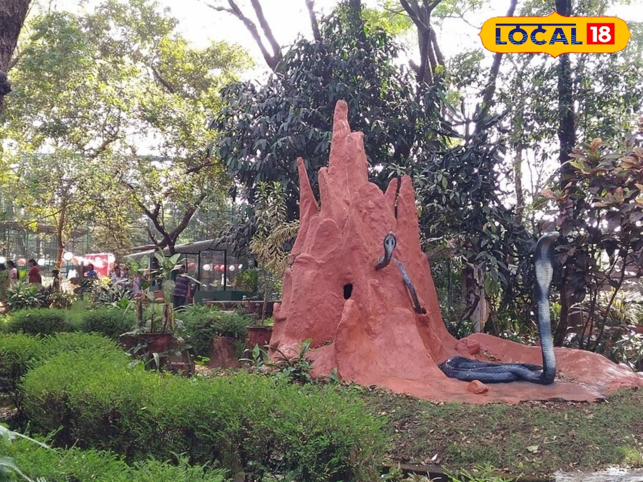 പാമ്പുകളുടെ പറുദീസ... മലബാറിലെ പ്രധാന ടൂറിസം കേന്ദ്രമായി പറശ്ശിനിക്കടവ് സ്‌നേക്ക് പാർക്ക്