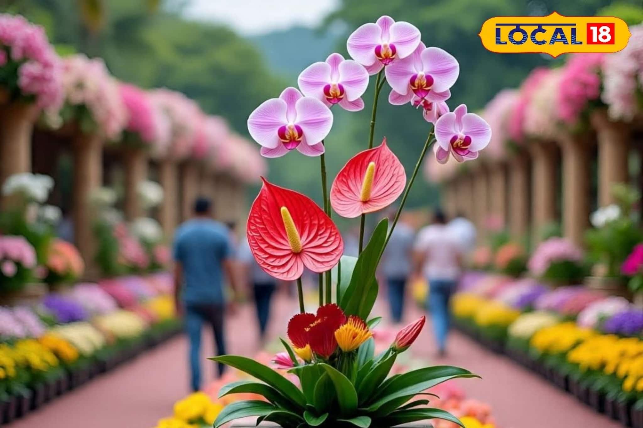 കൊച്ചി മറൈൻ ഡ്രൈവിൽ വസന്തോത്സവം: 42-ാമത് കൊച്ചിൻ ഫ്ലവർ ഷോ ഡിസംബർ 24 മുതൽ