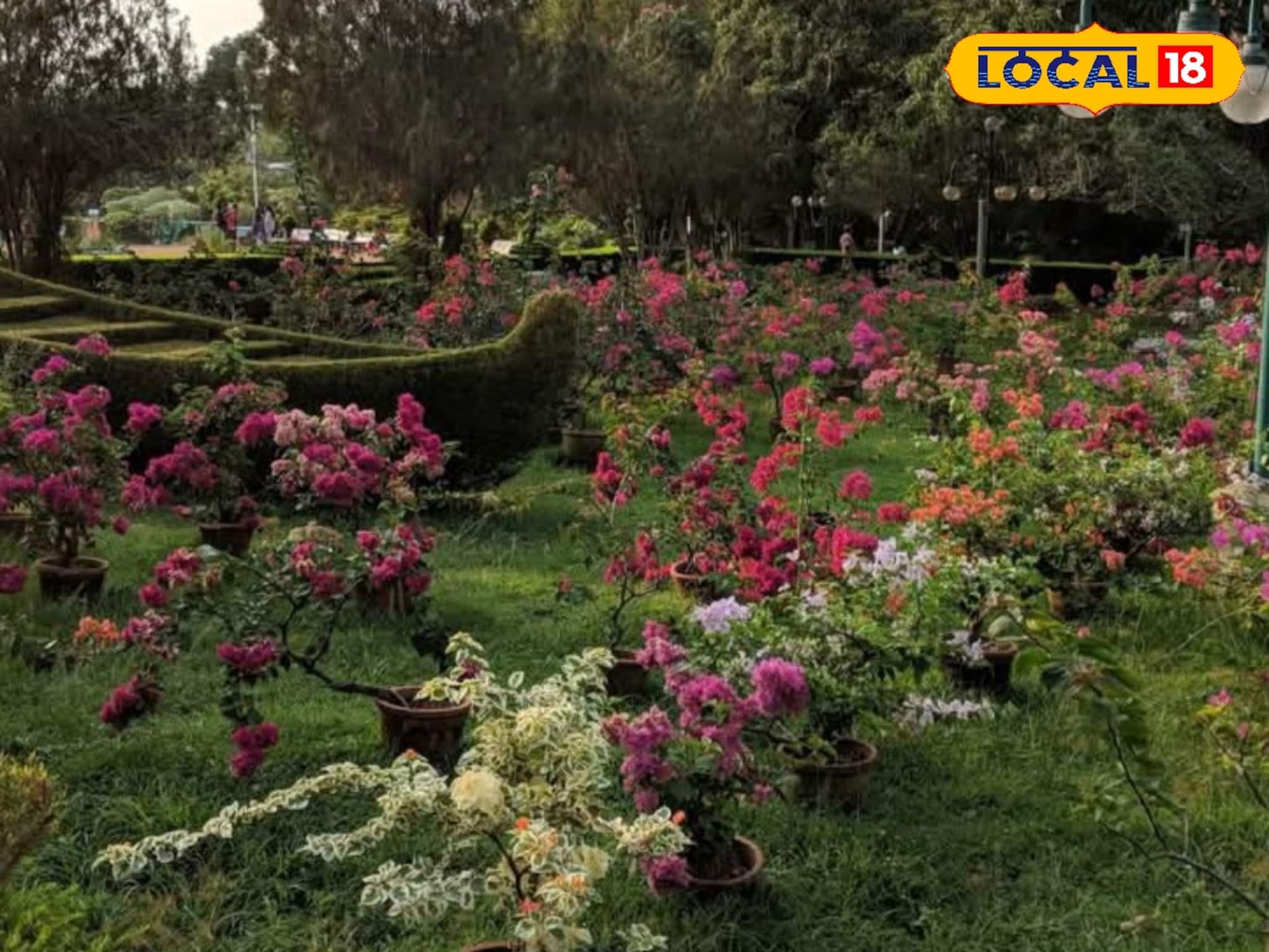 തിരുവനന്തപുരത്ത് 'വസന്തോത്സവം'! ഡിസംബർ 23 മുതൽ നഗരം പൂക്കളുടെയും ദീപങ്ങളുടെയും ലോകത്തേക്ക്!