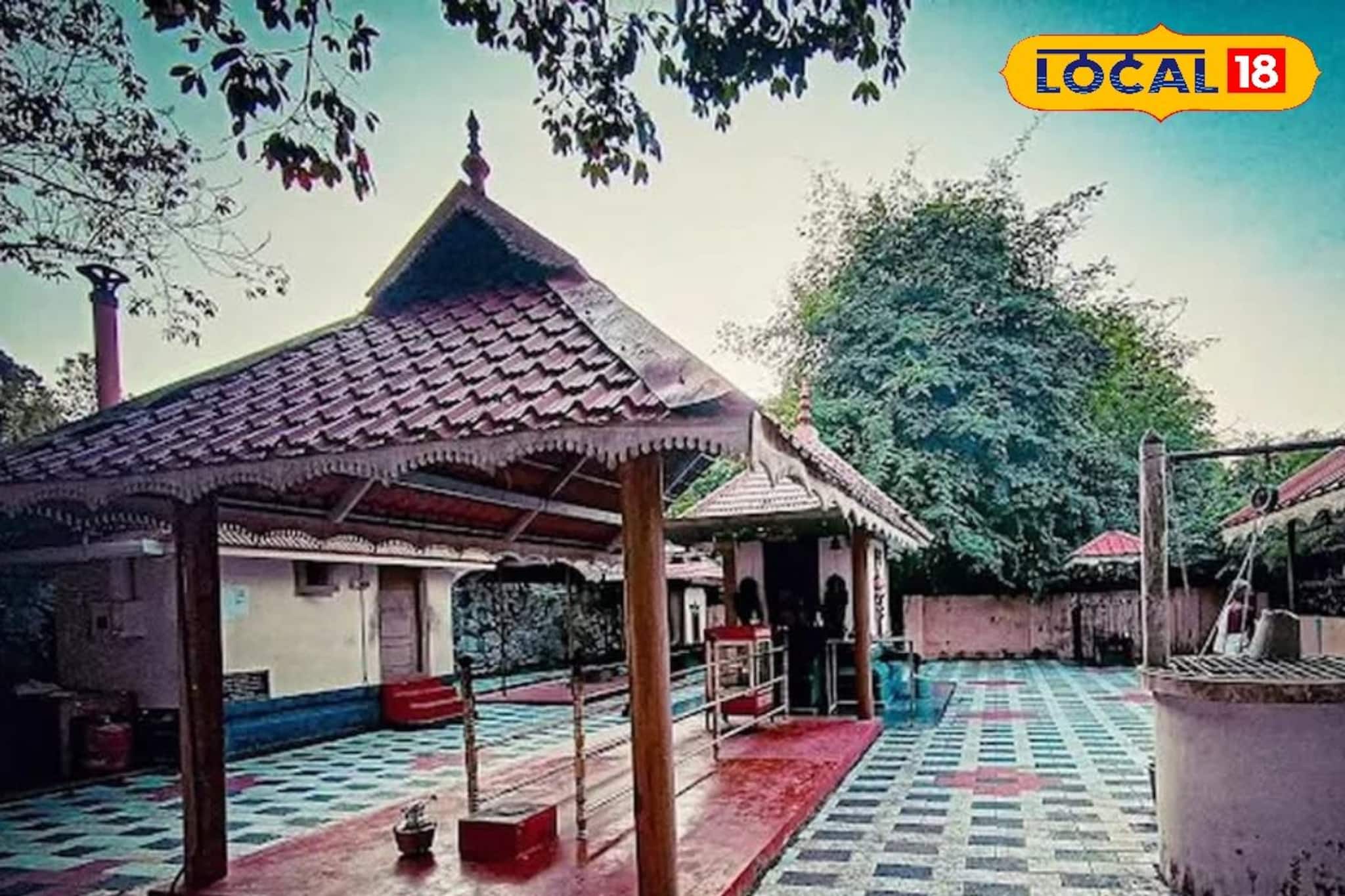 രാഹു-കേതു ദോഷ പരിഹാരത്തിന് തോട്ടത്തിൽ നാഗരുകാവ്; നൂറ്റാണ്ടുകളുടെ പഴക്കമുള്ള പുണ്യസന്നിധി രാഹു-കേതു ദോഷ പരിഹാരത്തിന് തോട്ടത്തിൽ നാഗരുകാവ്; നൂറ്റാണ്ടുകളുടെ പഴക്കമുള്ള പുണ്യസന്നിധി