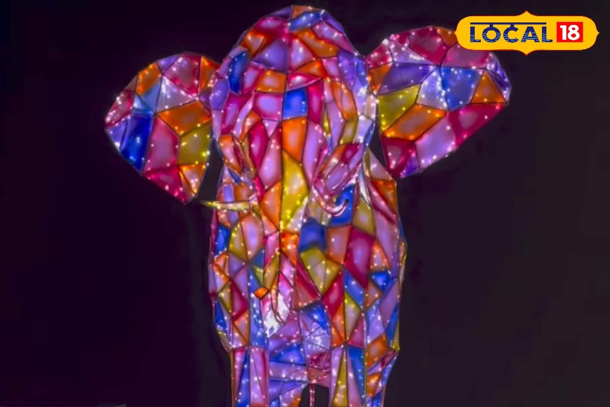 വിസ്മയമായി ജയൻ്റ് ഡ്രാഗണും ടണൽ ഓഫ് ലൈറ്റ്സും; കോഴിക്കോട് നഗരത്തിൽ ലൈറ്റ് ഷോ ജനുവരി 2 വരെ