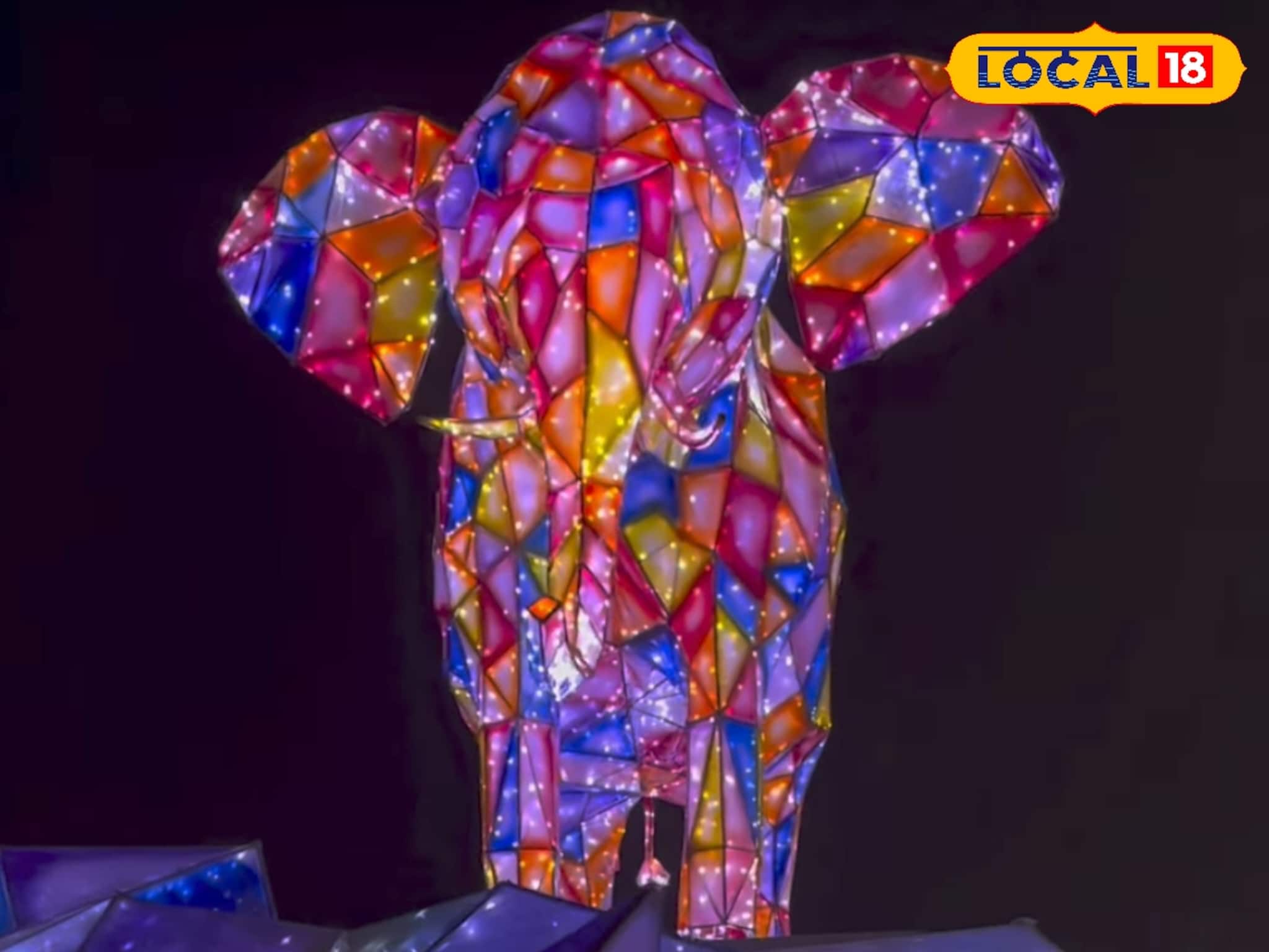 വിസ്മയമായി ജയൻ്റ് ഡ്രാഗണും ടണൽ ഓഫ് ലൈറ്റ്സും; കോഴിക്കോട് നഗരത്തിൽ ലൈറ്റ് ഷോ ജനുവരി 2 വരെ