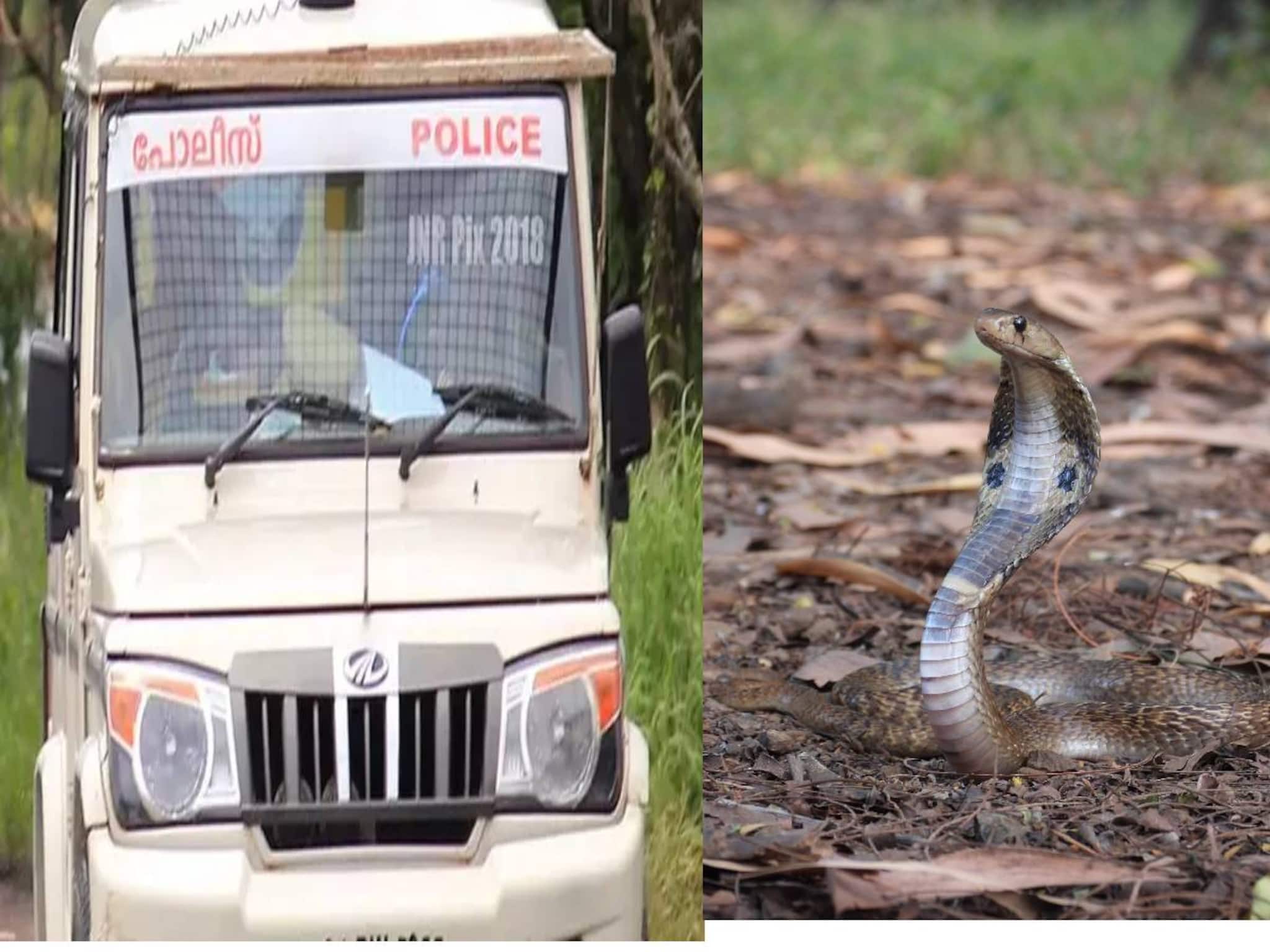 തിരുവനന്തപുരത്ത് വനത്തിനുള്ളിൽ ഇലക്ഷൻ ഡ്യൂട്ടിയ്ക്കെത്തിയ പോലീസ് ഉദ്യോഗസ്ഥന് പാമ്പുകടിയേറ്റു