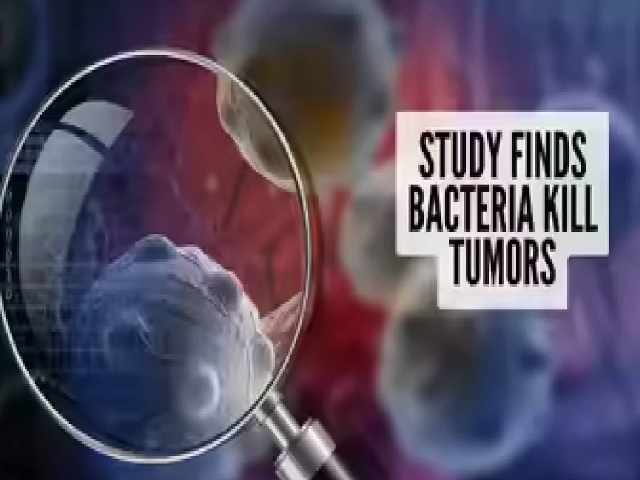 ബാക്ടീരിയകള്‍ മരുന്നുകളേക്കാള്‍ ഫലപ്രദമായി കാന്‍സര്‍ കോശങ്ങളെ നശിപ്പിക്കുന്നുവെന്ന് പഠനം