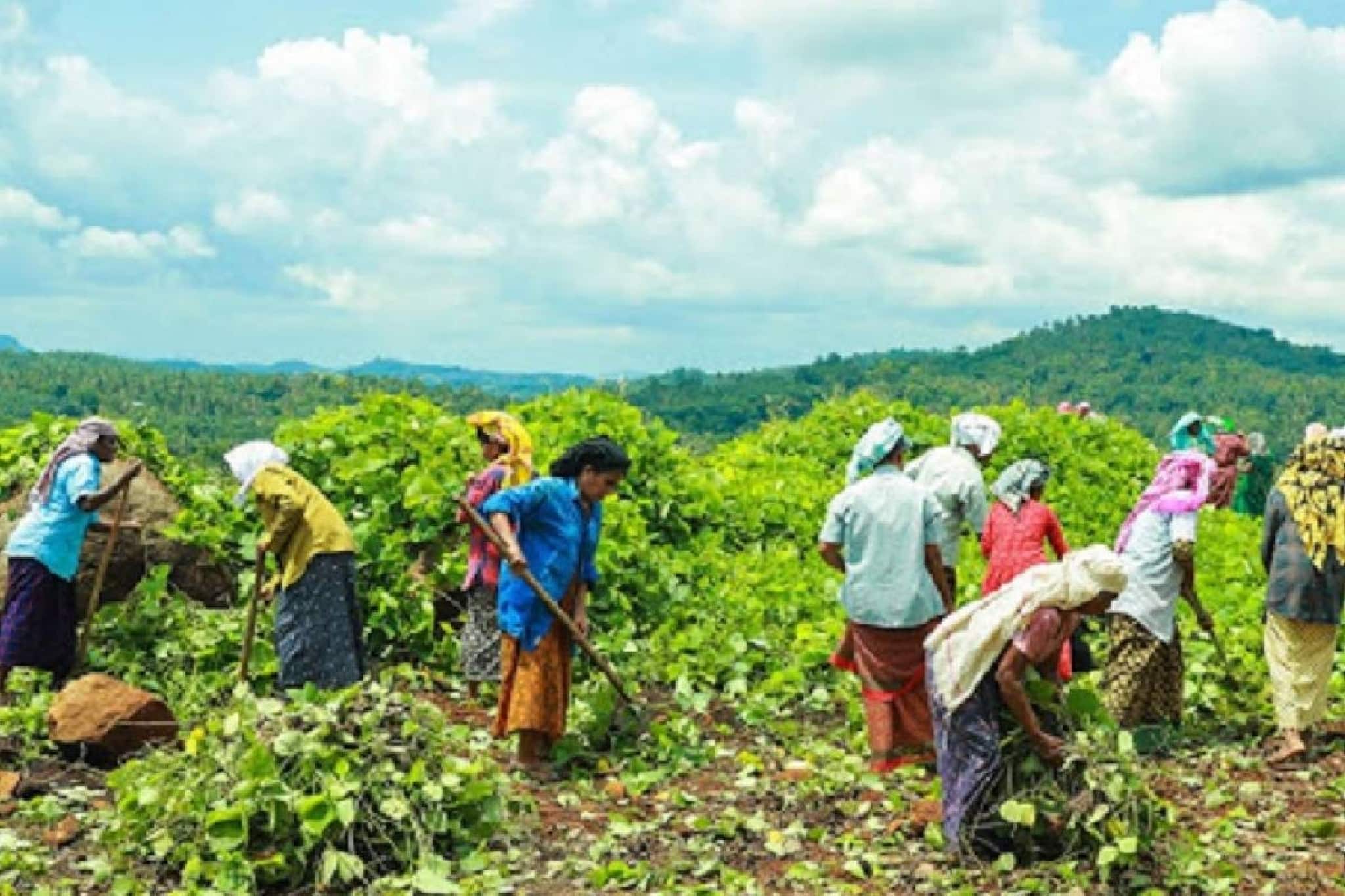 MNREGA തൊഴിലുറപ്പ് പദ്ധതിയുടെ പേര് മാറ്റുന്നു; 'പൂജ്യ ബാപ്പു ഗ്രാമീൺ റോസ്ഗർ യോജന' MNREGA തൊഴിലുറപ്പ് പദ്ധതിയുടെ പേര് മാറ്റുന്നു; 'പൂജ്യ ബാപ്പു ഗ്രാമീൺ റോസ്ഗർ യോജന'