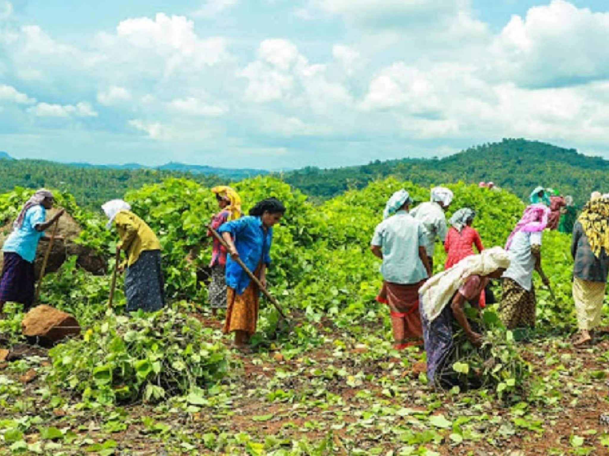 MNREGA തൊഴിലുറപ്പ് പദ്ധതിയുടെ പേര് മാറ്റുന്നു; 'പൂജ്യ ബാപ്പു ഗ്രാമീൺ റോസ്ഗർ യോജന' MNREGA തൊഴിലുറപ്പ് പദ്ധതിയുടെ പേര് മാറ്റുന്നു; 'പൂജ്യ ബാപ്പു ഗ്രാമീൺ റോസ്ഗർ യോജന'