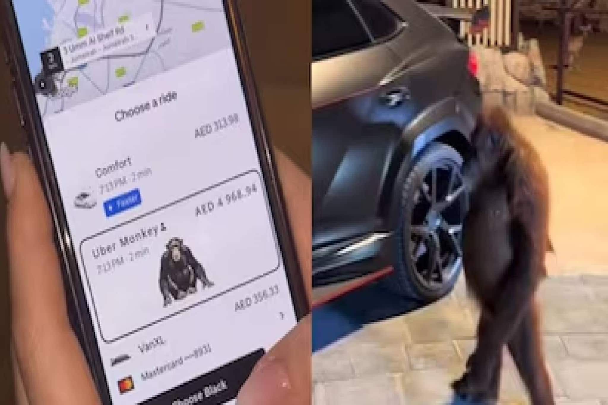 ദുബായില്‍ 15 മിനിറ്റ് നേരത്തെ യാത്രയ്ക്ക് 1.2 ലക്ഷം രൂപയുടെ 'ഊബര്‍ മങ്കി'; കുരങ്ങനെത്തിയത് ലംബോര്‍ഗിനിയില്‍