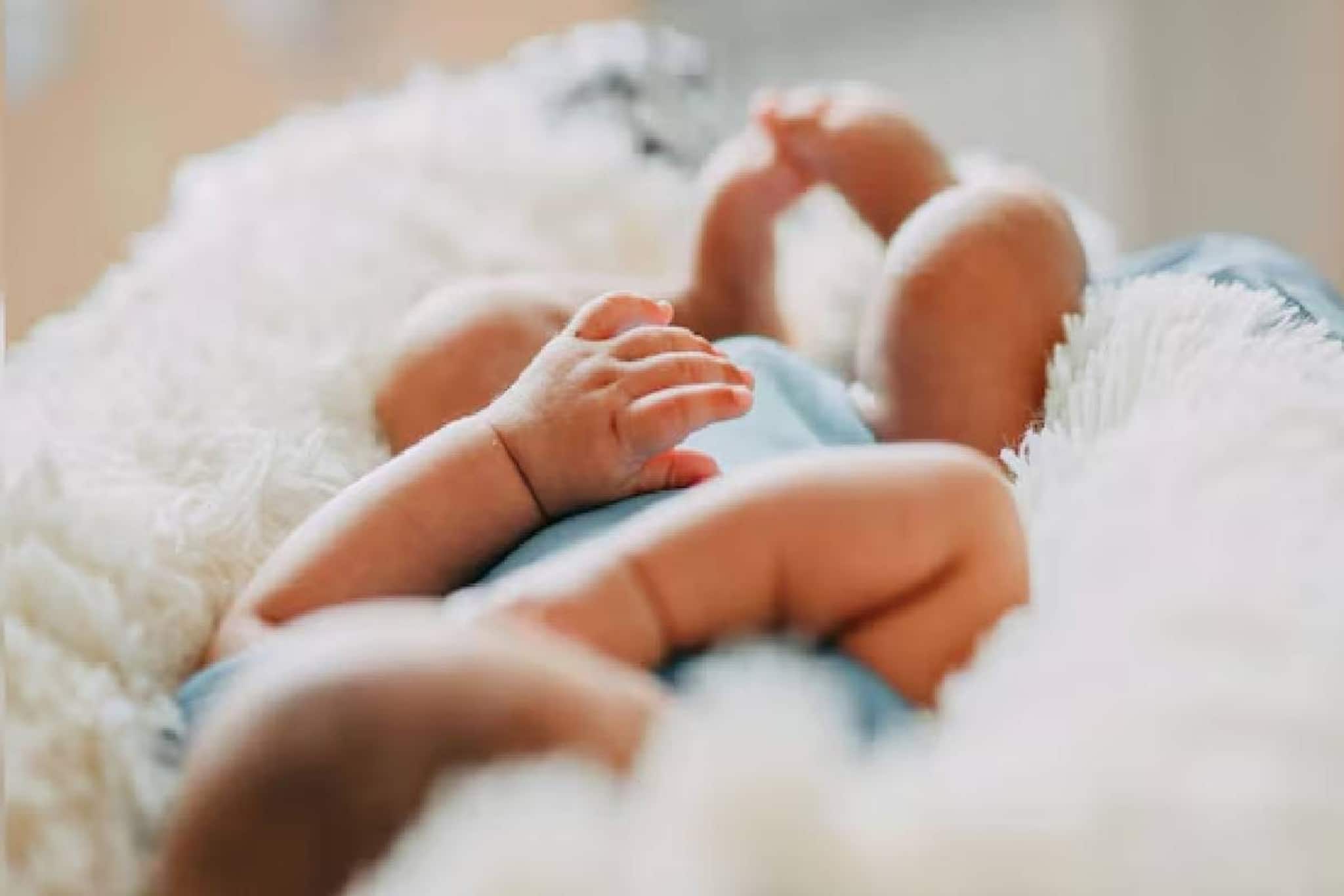 “200 കുട്ടികൾ, ഒരേയൊരു അച്ഛൻ: അമേരിക്കയിൽ ‘മെഗാ കുടുംബങ്ങൾ’ നിർമ്മിക്കുന്ന ചൈനീസ് കോടീശ്വരന്മാർ