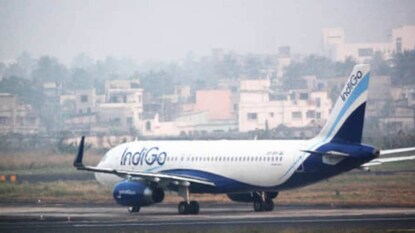 ഇൻഡിഗോ ഇൻഡിഗോ