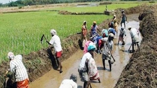 2005ൽ യുപിഎ സർക്കാർ ആരംഭിച്ച എംജിഎൻആർഇജിഎ പദ്ധതി 2005ൽ യുപിഎ സർക്കാർ ആരംഭിച്ച എംജിഎൻആർഇജിഎ പദ്ധതി