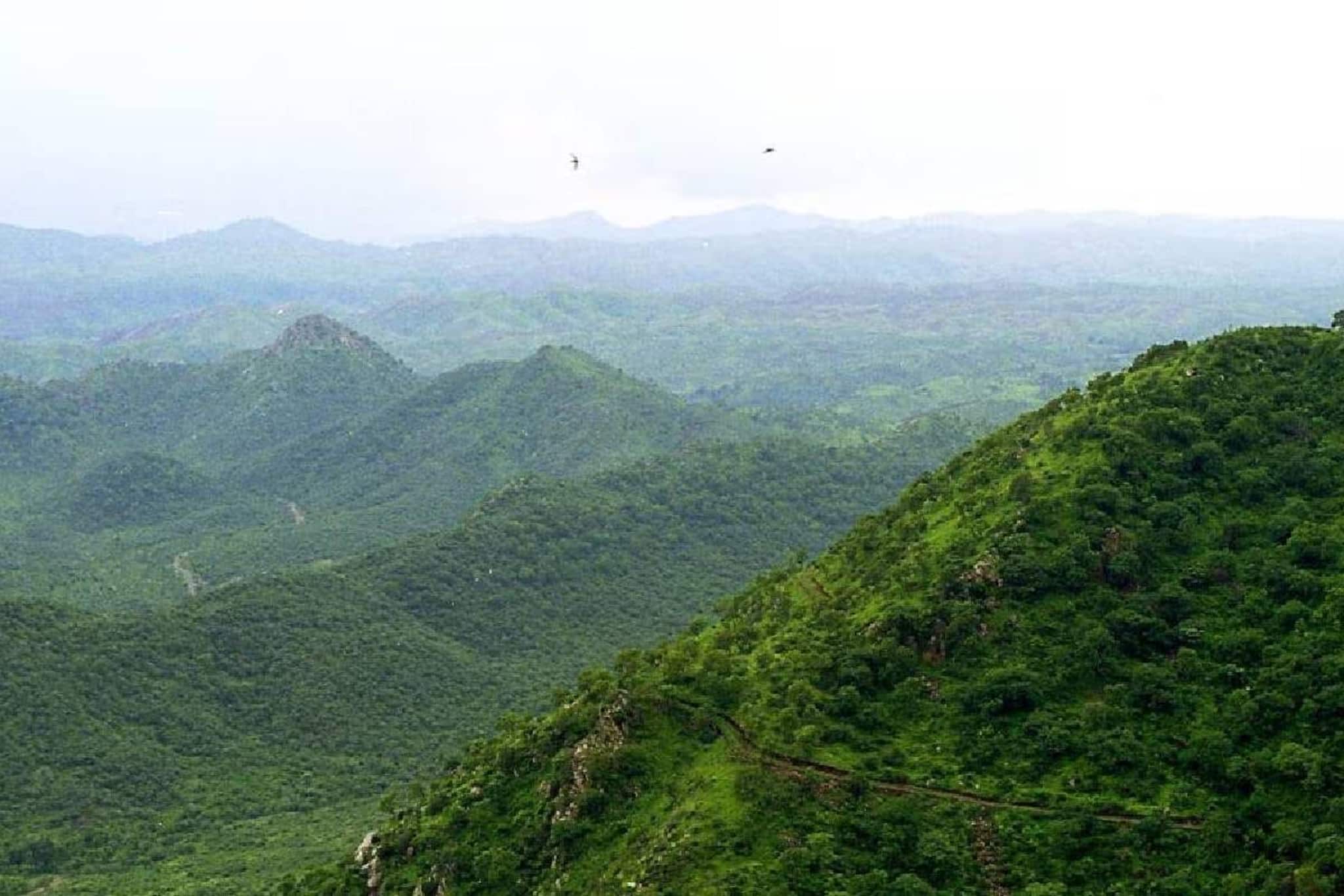 ആരവല്ലി കുന്നുകളുടെ പുതുക്കിയ നിർവചനം സുപ്രീംകോടതി മരവിപ്പിച്ചു ആരവല്ലി കുന്നുകളുടെ പുതുക്കിയ നിർവചനം സുപ്രീംകോടതി മരവിപ്പിച്ചു