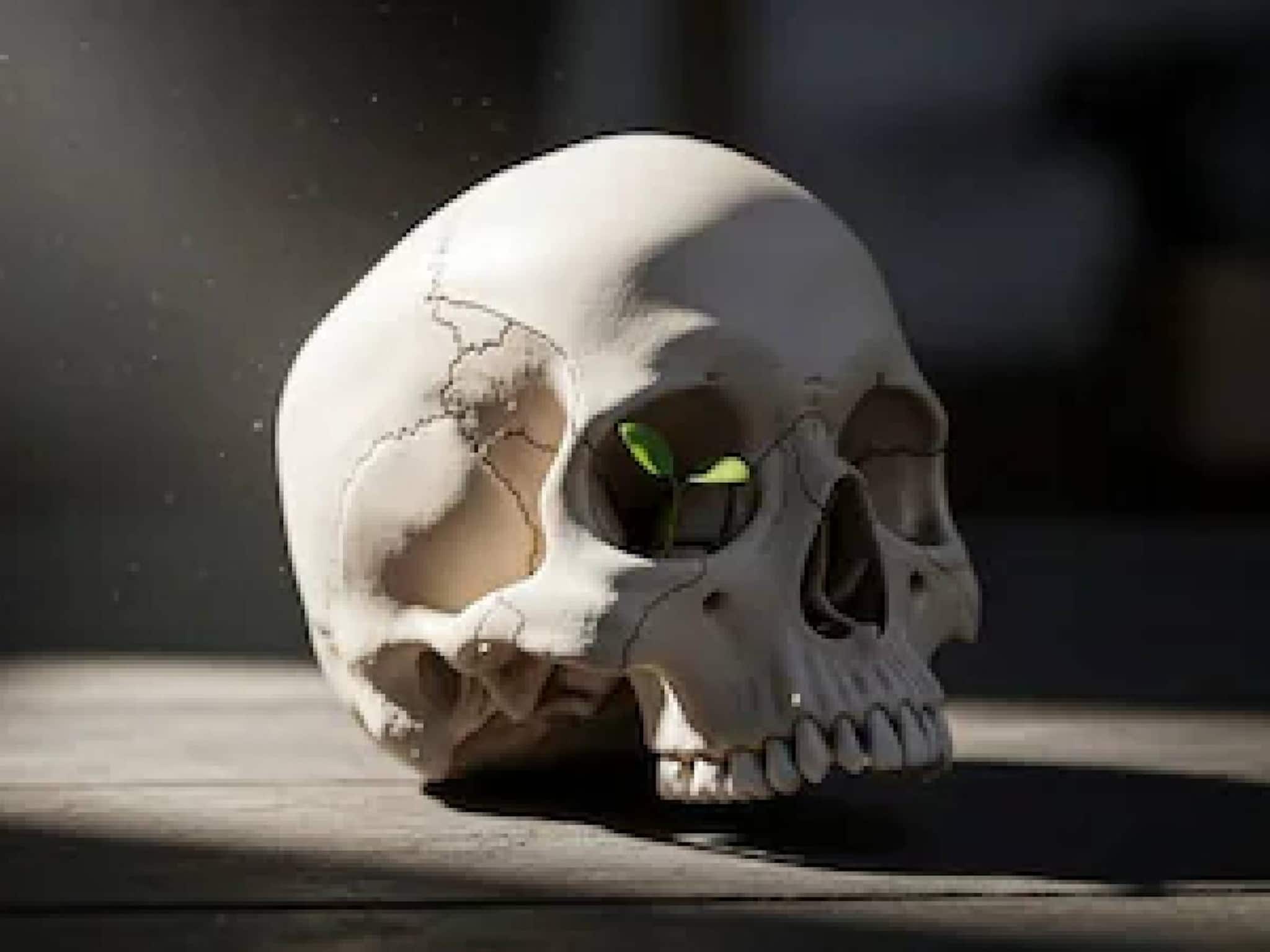 പാലക്കാട് നഗരമധ്യത്തില്‍ ദുർഗന്ധം പരത്തി കവറില്‍ പൊതിഞ്ഞനിലയില്‍ മനുഷ്യന്റെ തലയോട്ടിയും അസ്ഥികളും