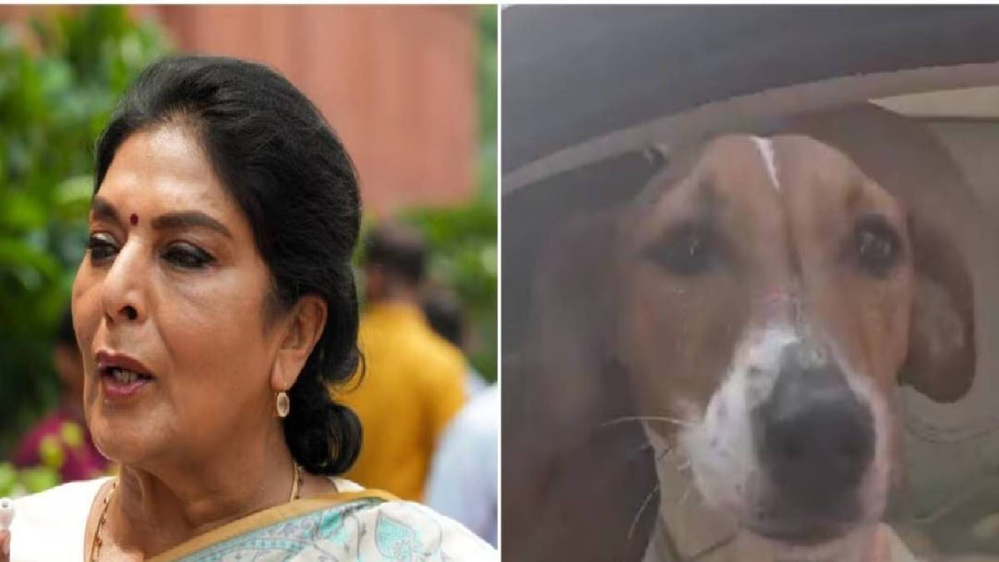 കോൺഗ്രസ് എംപി രേണുക ചൗധരി വളർത്തുനായയുമായി പാർലമെന്റിൽ