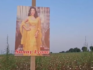 സണ്ണി ലിയോണി