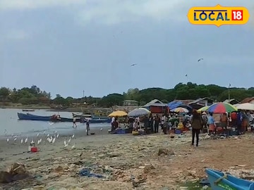 മാപ്പിള