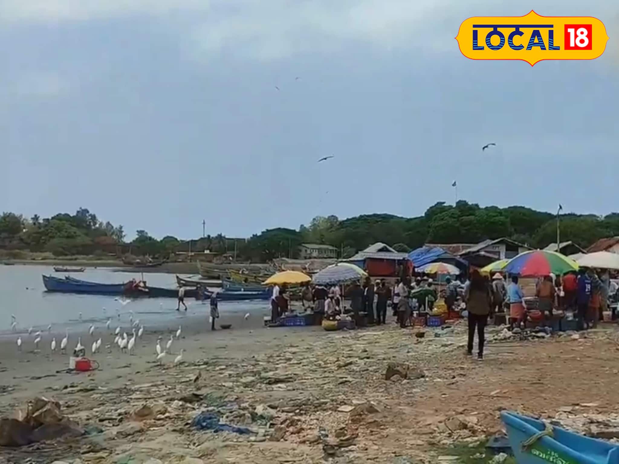 ചരിത്രവും കടലും സംഗമിക്കുന്ന മാപ്പിള ബേ; കോട്ടയുടെ തണലിൽ ആധുനിക മത്സ്യബന്ധന തുറമുഖം ഒരുങ്ങുന്നു