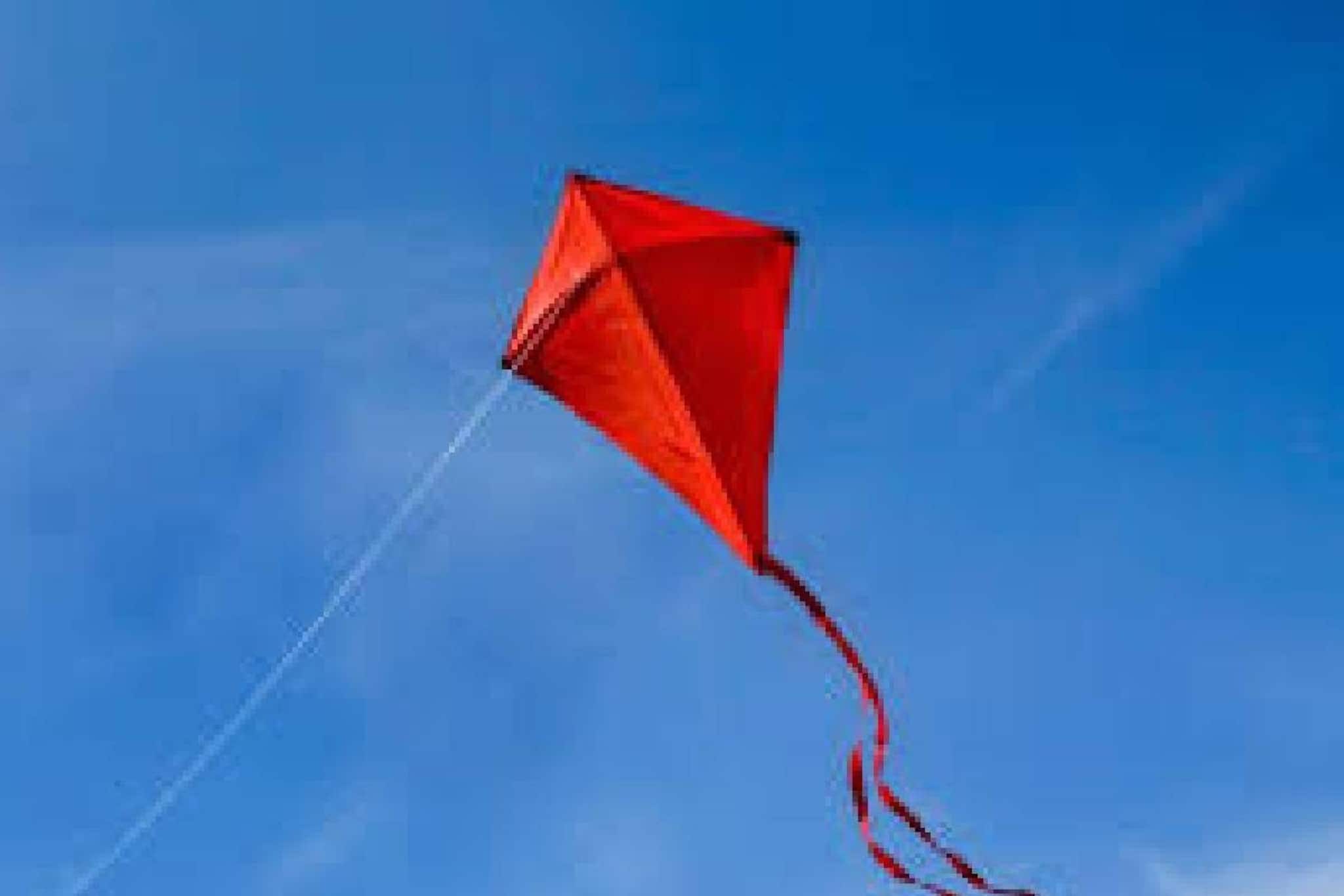 സൂറത്തിൽ സൈക്കിൾ ഓടിക്കുന്നതിനിടെ പട്ടത്തിന്റെ ചരട് കഴുത്തിൽ കുരുങ്ങി 8 വയസുകാരൻ മരിച്ചു