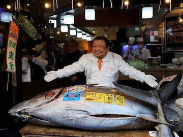 അറ്റ്ലാന്റിക് ബ്ലൂഫിന് ട്യൂണ അറ്റ്ലാന്റിക് ബ്ലൂഫിന് ട്യൂണ