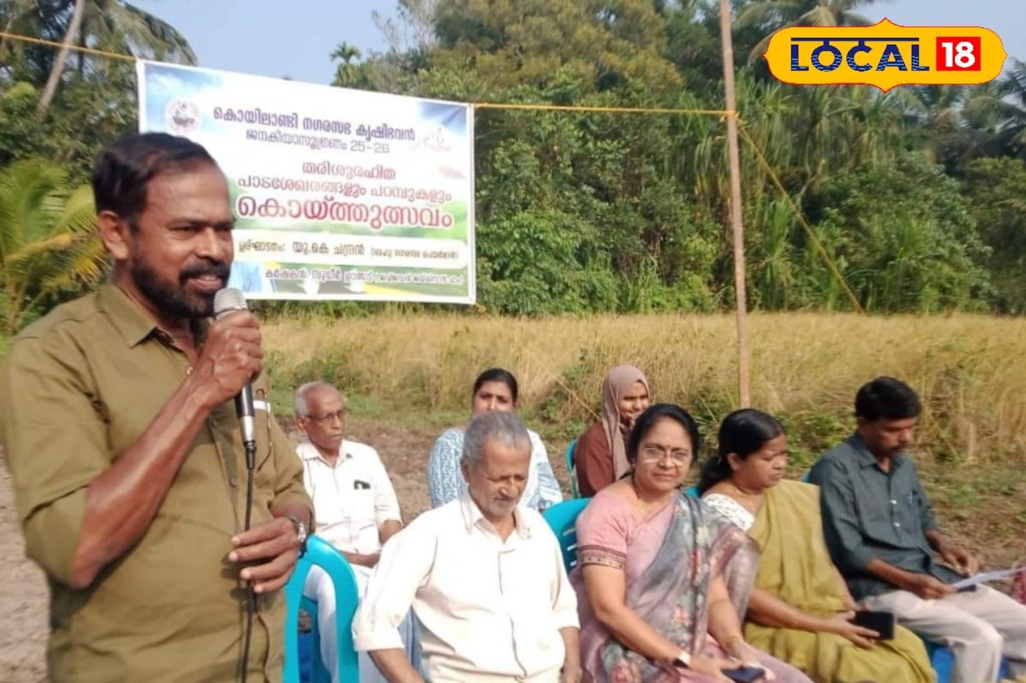 തരിശുഭൂമിയിൽ പൊൻകതിർ വിരിഞ്ഞു; കുറുവങ്ങാട് കൊയ്ത്തുത്സവം നാടിന് ആവേശമായി