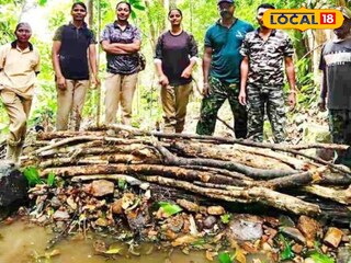 വനപാലകർ ചെക്ക് ഡാം നിർമ്മിക്കുന്നു