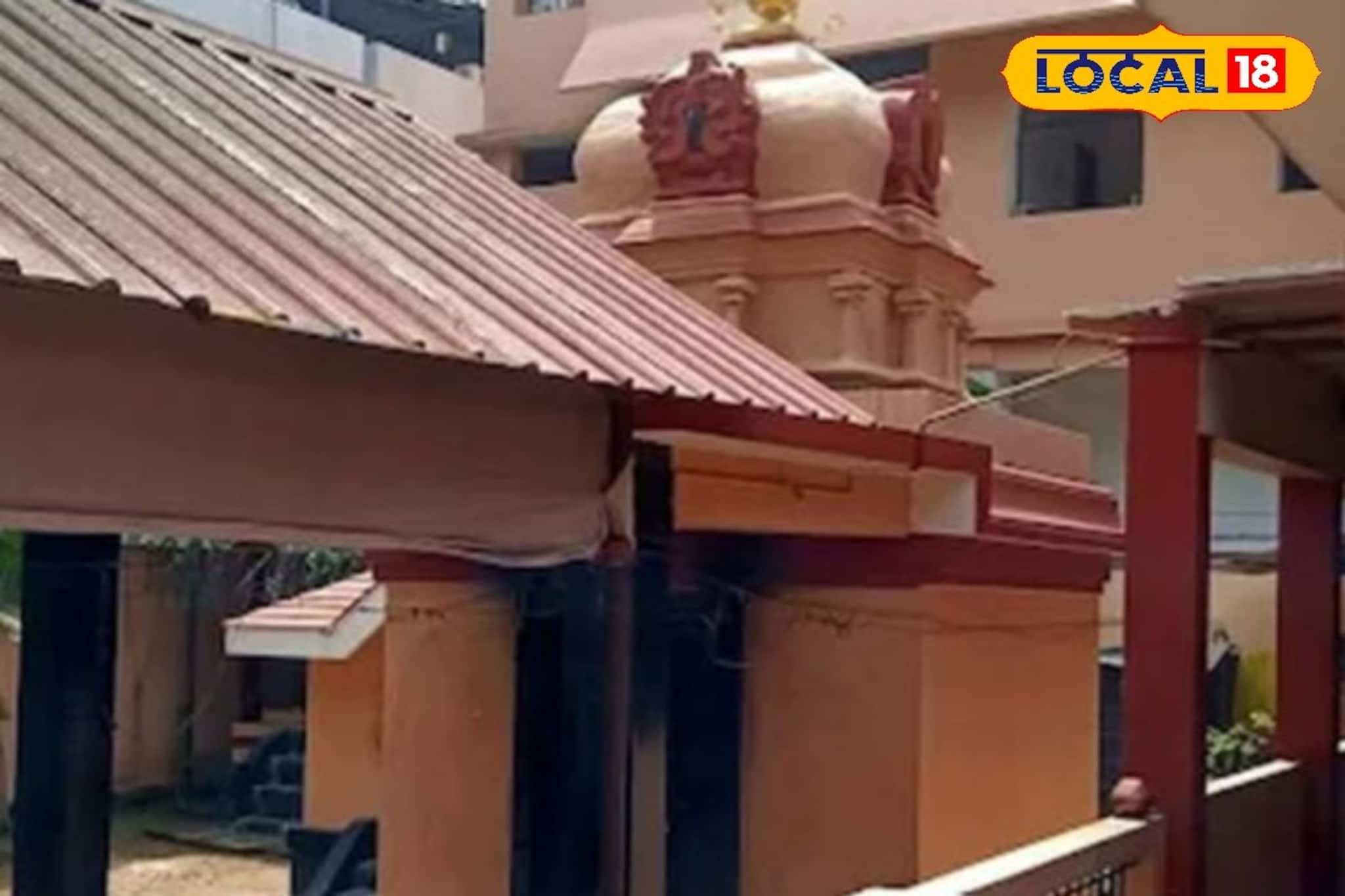 പത്തടി ഉയരമുള്ള നാഗരാജാ പ്രതിഷ്ഠ; തിരുവനന്തപുരത്തെ നാഗാരാധനയിൽ വേറിട്ടൊരു പുണ്യസങ്കേതം